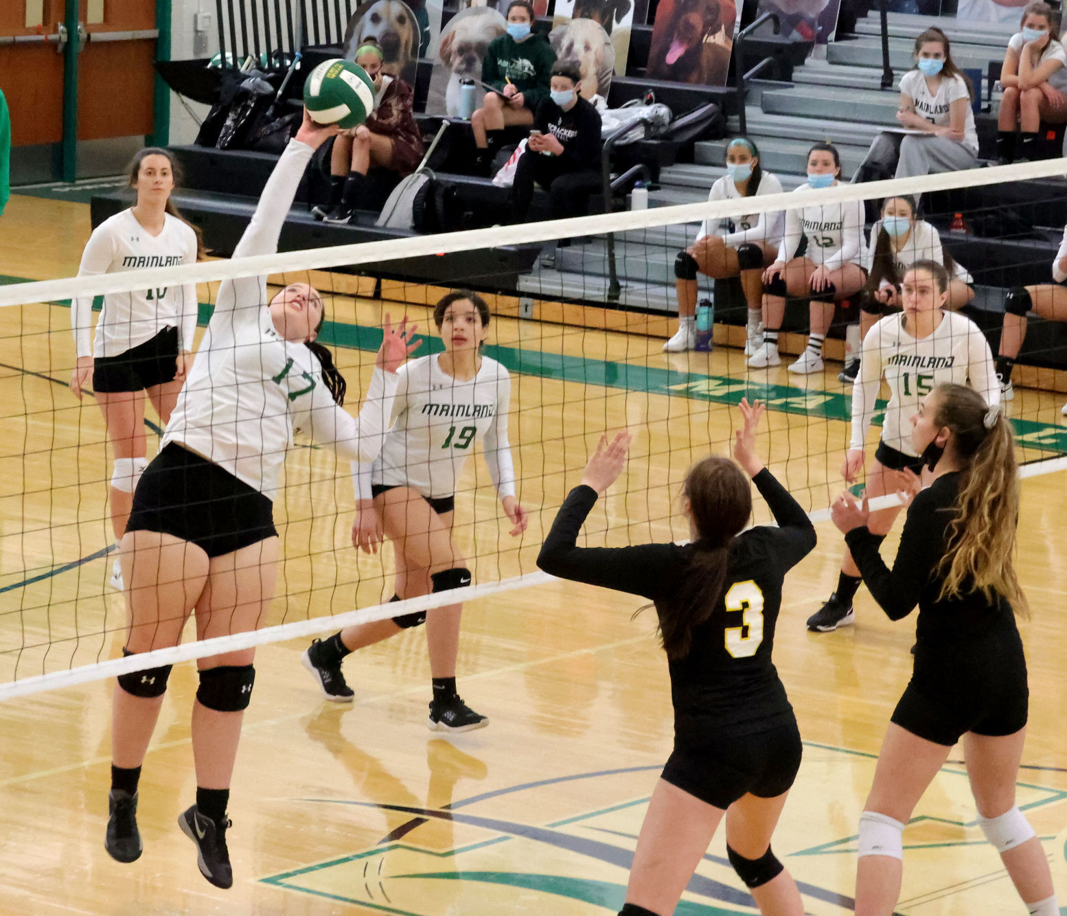 Mainland vs ACIT volleyball